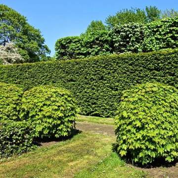 Contactez un paysagiste jardinier à Limoux