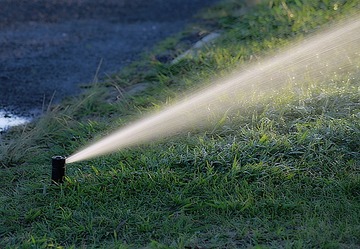 Arrosage intégré automatique goutte à goutte